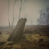 Alastair Ross
