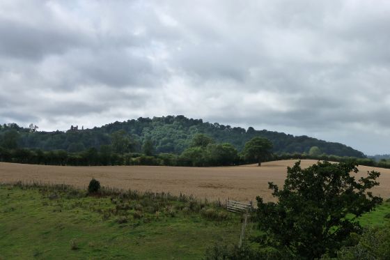 Ffridd Faldwyn (Hillfort)