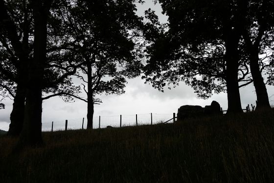 Hendre Waelod (Dolmen / Quoit / Cromlech)