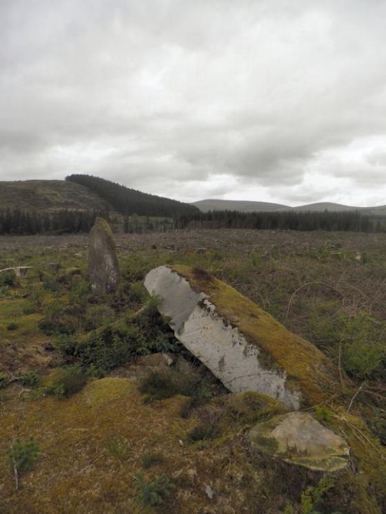 Carrigagulla NE (Stone Row / Alignment)