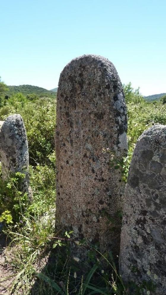 Palaggiu (Alignement)