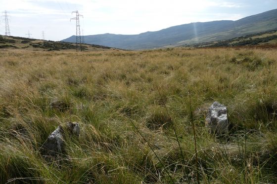 Bwlch-y-Ddeufaen (Standing Stones)