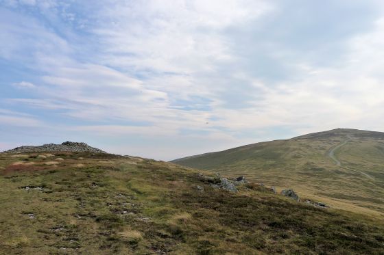 Carnedd y Ddelw (Cairn(s))