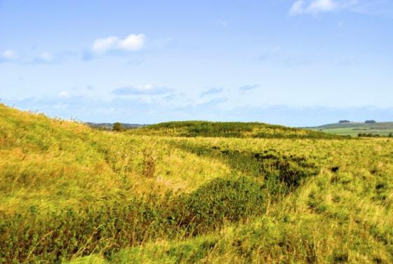 Windmill Hill (Causewayed Enclosure)