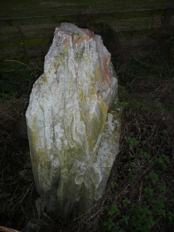Glen Livet (Standing Stone / Menhir)
