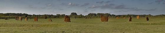 Devil’s Quoits (Stone Circle)