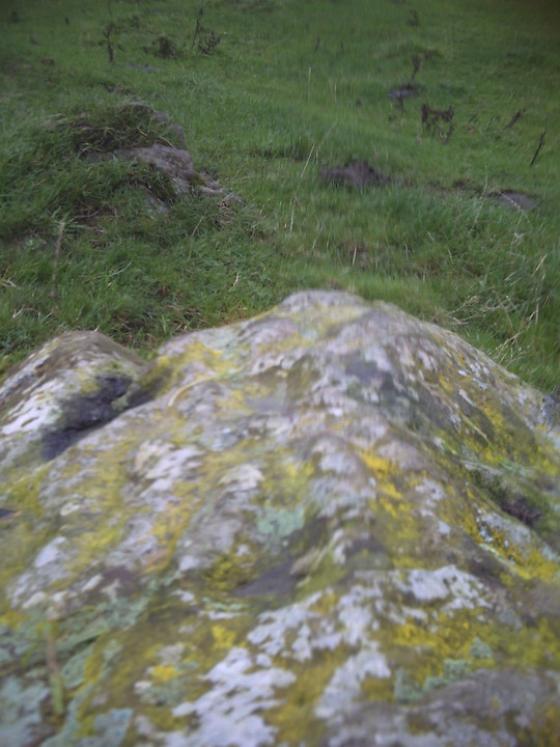 Scotland
