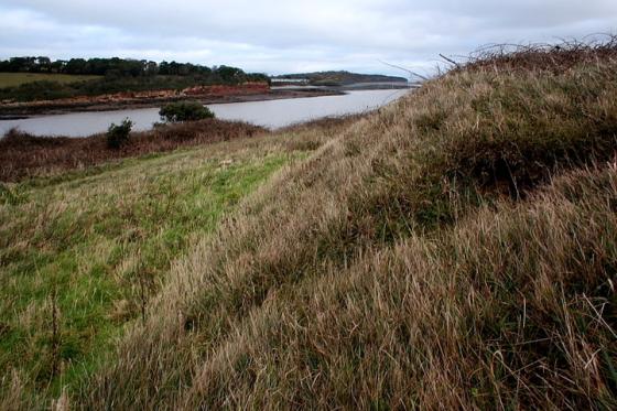 Sully Island (Promontory Fort)