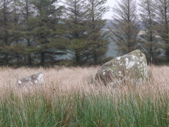 Glantane East (Stone Row / Alignment)