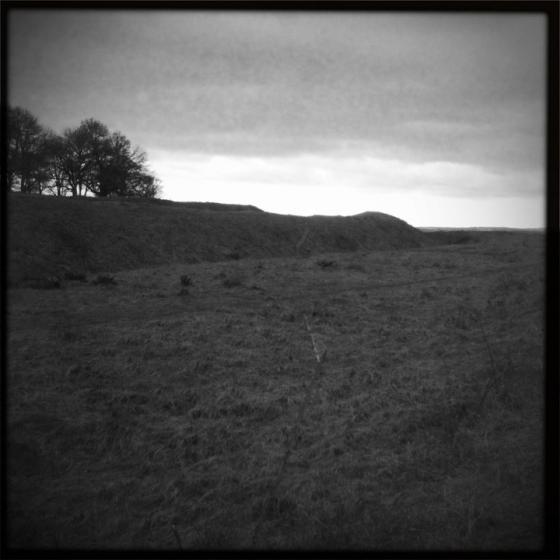 Badbury Rings (Hillfort)