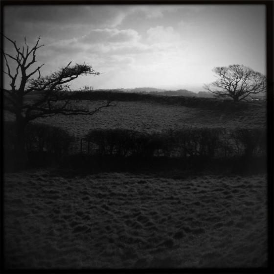Rawlsbury (Hillfort)