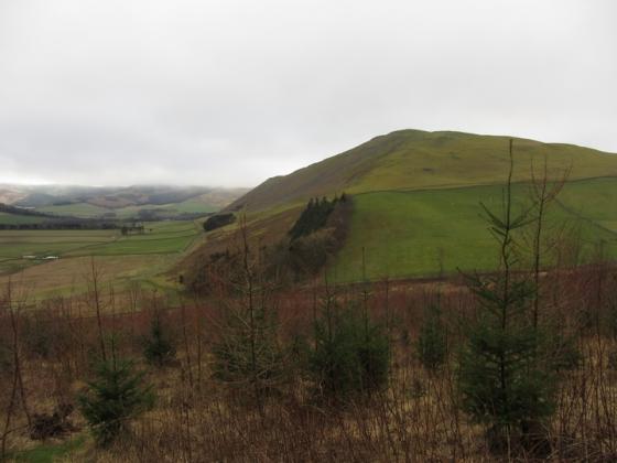Cademuir Hill (Hillfort)