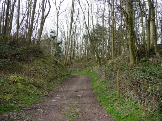 Ivington Camp (Hillfort)