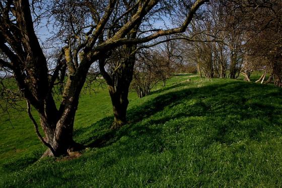Cambridgeshire