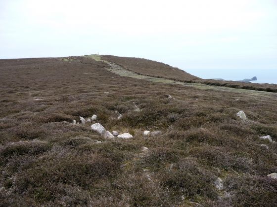 Rhossili Down (Cairn(s))