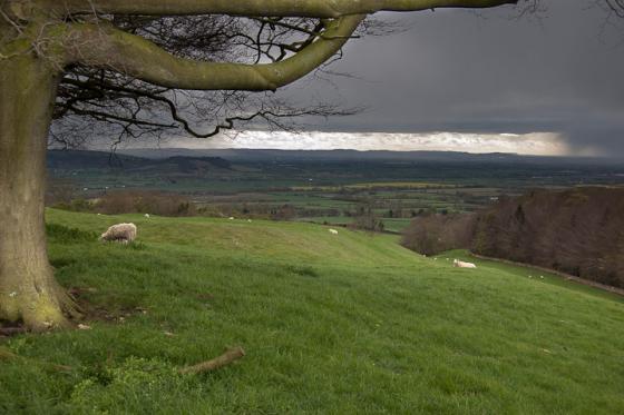 Conderton Camp (Hillfort)