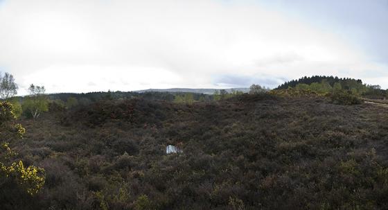 Iping Common (Barrow / Cairn Cemetery)