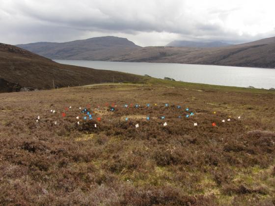 Rhue (Ancient Village / Settlement / Misc. Earthwork)