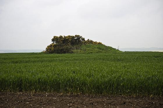 The Ridgeway