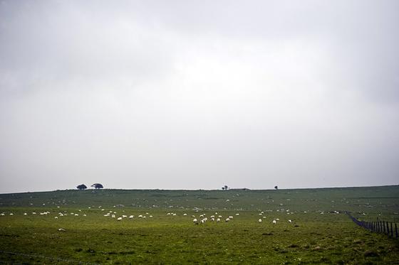 The Ridgeway