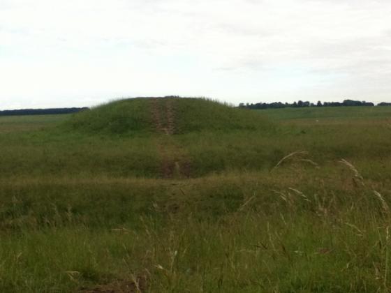 Stonehenge Cursus Group (Barrow / Cairn Cemetery)