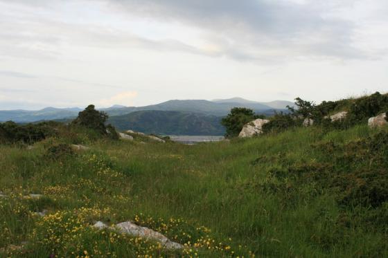 Pen y Dinas (Llandudno) (Hillfort)