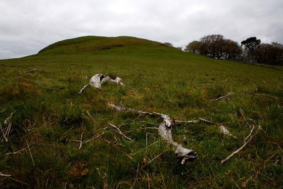 Bizzyberry Hill (Hillfort)