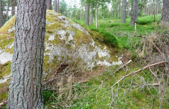 Gaich Wood 2 (Chambered Cairn)