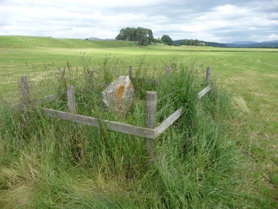Tullochgorum (Standing Stones)