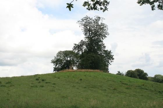 Warren Tump (Round Barrow(s))