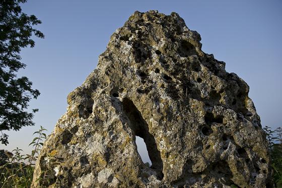 The Longstone of Minchinhampton (Standing Stone / Menhir)