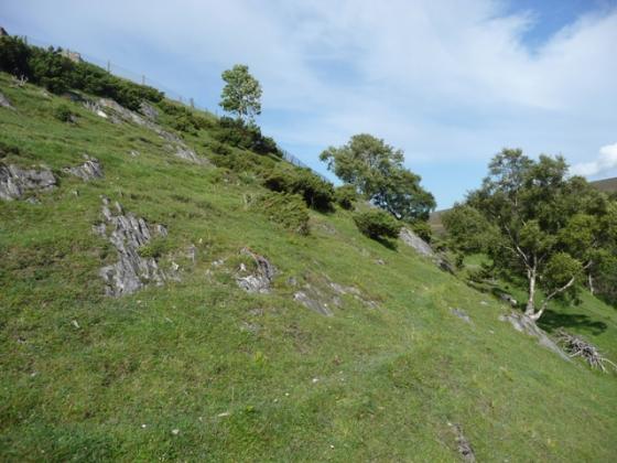 Auchindoun (Hillfort)