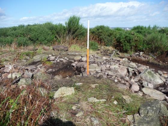 Cat Cairn 2 (Kerbed Cairn)