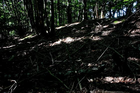Castle Hill, Tonbridge (Hillfort)