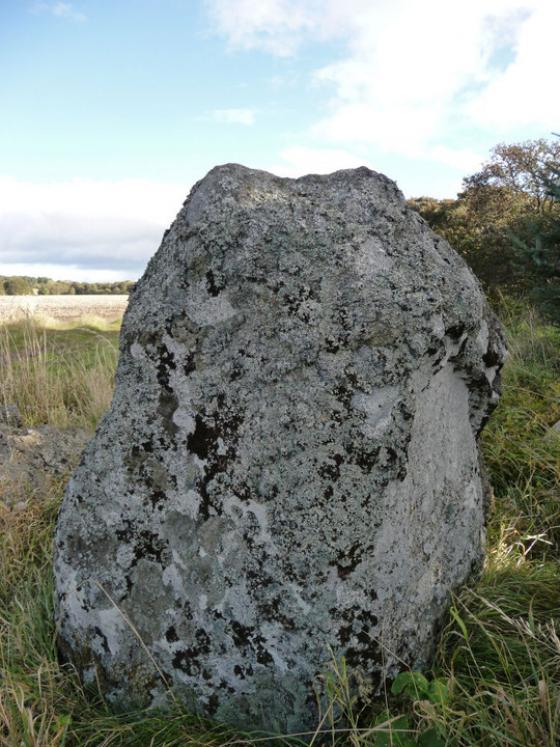 Cantraybruich (Chambered Cairn)