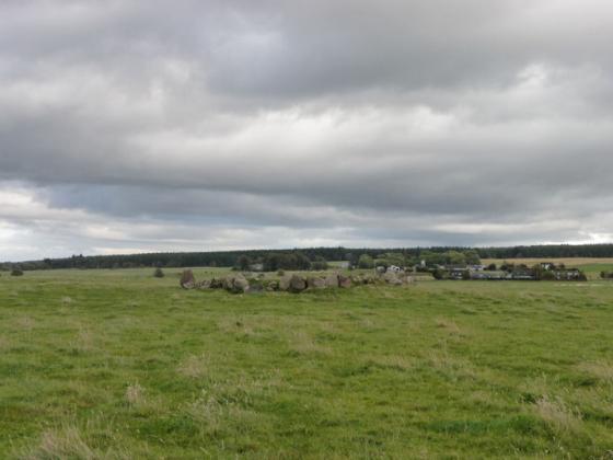 Cullernie (Ring Cairn)