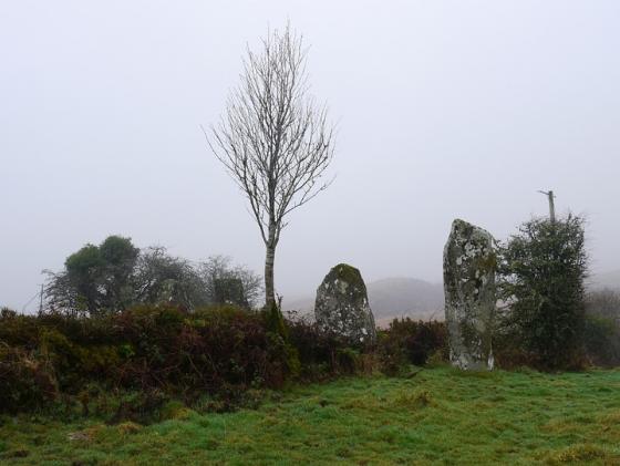 Cabragh N (Stone Row / Alignment)