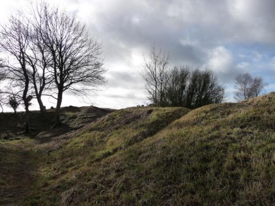 Leckhampton Hill (Hillfort)