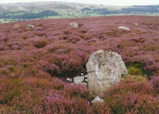 North Yorkshire