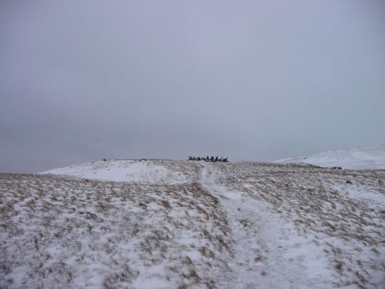 Bryn Cader Faner (Cairn circle)