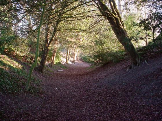 Wandlebury (Hillfort)