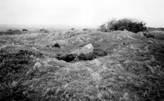 Castle-an-Dinas (St. Columb) (Hillfort)