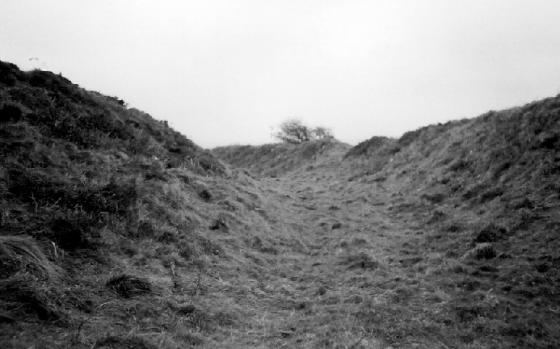 Castle-an-Dinas (St. Columb) (Hillfort)