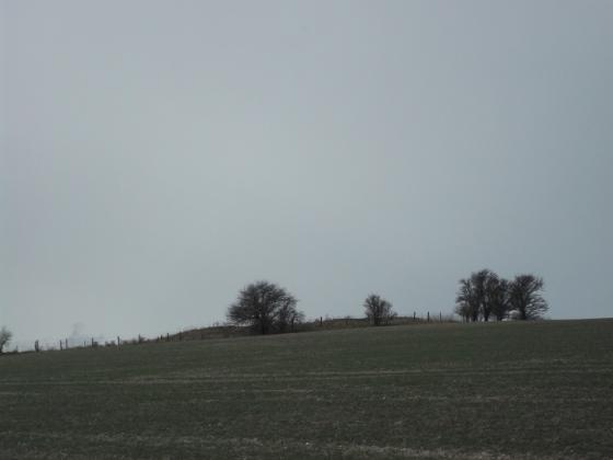Harestone Down Stone Circle