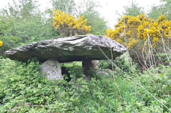 Ballybrittas (Portal Tomb)