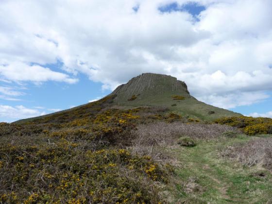 Worm’s Head (Enclosure)