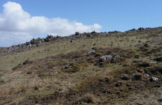 Rhossili Down (Cairn(s))