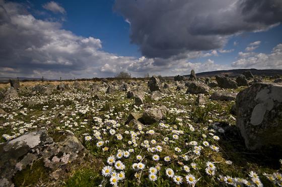 Beaghmore