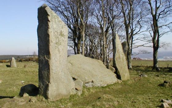 Tyrebagger (Stone Circle)