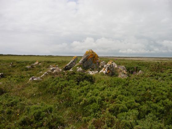 Kynance Gate Settlement